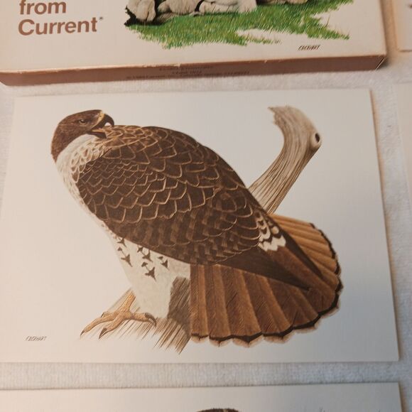 1980 American Wildlife Greeting 8 Cards From Current Vintage w Envelopes & Box - Picture 6 of 16